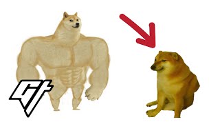 We tracked down that famous doge meme dog and he’s real [upl. by Votaw]