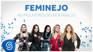 Feminejo As Mulheres do Sertanejo  Mix Sertanejo 2019 [upl. by Uol]