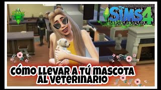 Como llevar un gato al veterinario  Tutorial  Los Sims4 [upl. by Pytlik148]