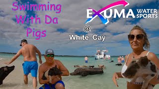 Swimming With The Pigs at White Cay Exuma Water Sports [upl. by Htidirem]