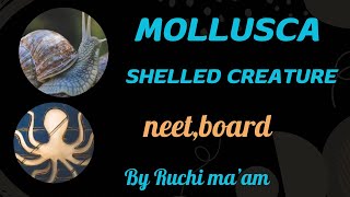 Molluscaclass11animal kingdom ncertbiologycbsenon Chordata chapter4 [upl. by Mareah461]