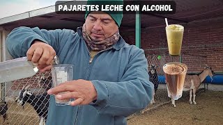 Pajarete de Cabra leche con alcohol y chocolatemuy sabroso [upl. by Sklar584]