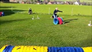 Hoopers  Nadac  HoopersAgility  Hundeschule gooddog Freudwil bei Uster [upl. by Willard]