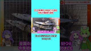 【1分でわかる釧路】サンマ水揚げ1000トンに迫る 5年ぶりの豊漁に活気【Cool KUSHIRO NEWS compact】 voiceroid解説 釧路 白糠 [upl. by Nodarb]