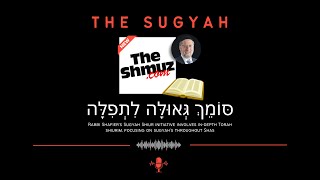 The Sugyah 19  Year 2  Shiur 1 [upl. by Seeto]