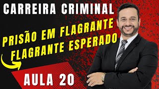 Aprenda a mais famosa das prisões O Flagrante esperado  Aula 20 [upl. by Kecaj]