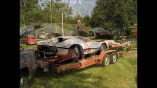 Sterling Sports Car Kit 310 Movie [upl. by Gerlac]