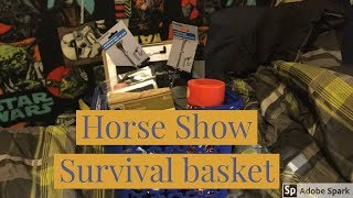 Dollar Store horse show survival kit gift basket [upl. by Alene]