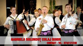 Gabriela Bolundut  Colaj  Bihor  2016 [upl. by Atnohs]