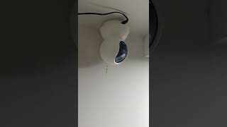 Wifi camera 😱😱camera wificamera viralshort subscribe [upl. by Ynnus]