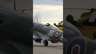 What was the FASTEST Spitfire in WWII ww2 aviation spitfire [upl. by Kcirdaed63]