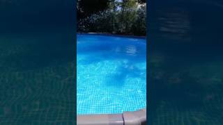 UPDATE intex 22 x 52quot swimming pool [upl. by Maire597]