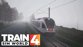 Mit dem Stadler Flirt am nebligen Bodensee  TSW 4 [upl. by Samot689]