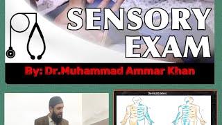 Neurological Examination Sensory System Part4 medicine neurology sensory examination mbbs [upl. by Courtney]