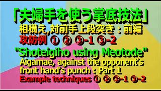 26th：Shotei techniques ①②③ using MeotodePart 1 夫婦手を使う掌底技法例 前編 ① ② ③1 ③2 [upl. by Gambrill327]