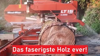 Das erste Mal dass ich dieses Holz auf dem Sägewerk habe [upl. by Allehcram]