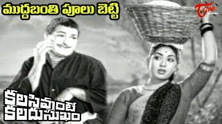 NTR Old Songs  Kalasi Vunte Kaladu Sukham  Mudda Banthi Poolu Song NTR Savitri Old Telugu Songs [upl. by Einobe]