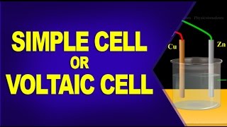 Working of Voltaic Cell or Simple Cell [upl. by Jaco]