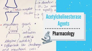 ANTICHOLINESTERASE AGENTS REVERSIBLE  INDIRECTACTING CHOLINERGIC AGONISTS PHARMACOLOGY [upl. by Aihsilef]