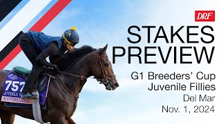 Grade 1 Breeders Cup Juvenile Fillies Preview  November 1 2024 [upl. by Nortyad545]