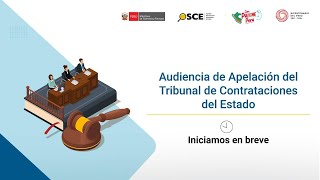 Audiencia de Apelación del Tribunal de Contrataciones del Estado S2EXP102512024TCE [upl. by Joana758]