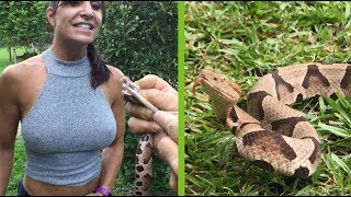 Got too close to copperhead snake Then used snake tongs to catch venomous snake [upl. by Ellerud]