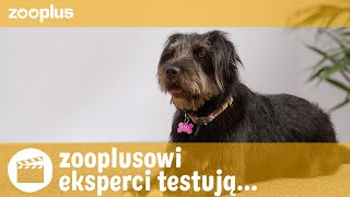 zooplusowi eksperci testują PURINA PRO PLAN Fortiflora Canine Probiotic [upl. by Ylyl]