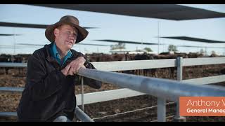 Pestivirus The hidden cost Anthony Winter QLD Feedlot [upl. by Luaped]