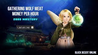 BDO Gathering Wolf Meat  2000 Mastery  Money Per Hour  2024 [upl. by Adnarb946]