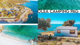 Olea Camping Experience and Tour  Pitches Showers Sea Views  Pag Croatia [upl. by Aser]