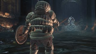 Dark Souls III  Yhorm The Giant W Siegward Of Catarina  NO DAMAGE NG [upl. by Eiramanad]