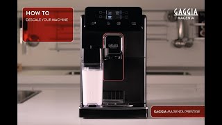 GAGGIA MAGENTA PRESTIGE  HOW TO CLEAN THE MILK SYSTEM [upl. by Nyrraf]