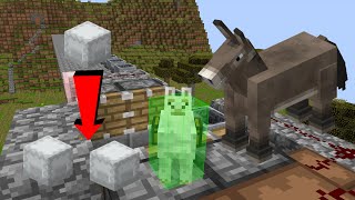 How to Donkey Dupe on 9b9t [upl. by Isnyl]