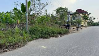 CLEANING UP overgrown sidewalks is really worth the EFFORT Beautiful transformation [upl. by Jaworski]