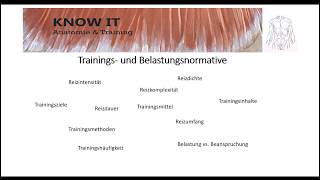 Trainings und Belastungsnormative [upl. by Iharas313]