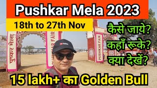 Pushkar Mela 2023  Pushkar camel fair 2023 – पुष्कर मेला 2023 – Pushkar fair 2023 [upl. by Aniez899]