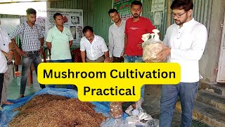 Mushroom Cultivation Hands On Practical Training मशरूम की खेती का प्रशिक्षण Oyster amp Milky Mushroom [upl. by Diogenes498]