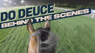 Behind The Scenes At Meydan  Track Gallop With Japanese Dubai Turf Contender Do Deuce ドウデュース [upl. by Aikcin]