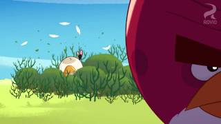 Angry Birds 2 All Terence Bird Sounds [upl. by Vitalis]