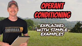 Operant Conditioning In Dog Training Explained With EXAMPLES [upl. by Urson297]