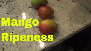 How To Tell If A Mango Is Ripe3 Things To Look For [upl. by Orestes813]