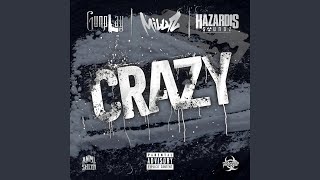 CRAZY feat Millyz amp Hazardis Soundz [upl. by Byram]