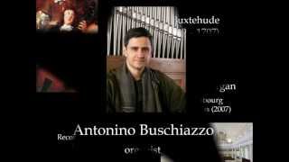 Buxtehude Toccata in d minor BuxWV 155 Antonino Buschiazzo  organ [upl. by Anircam]