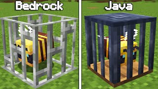 Why Java Minecraft Is Secretly Better Than Bedrock Edition Hindi [upl. by Sherman342]