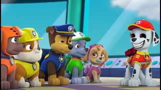 Paw Patrol on a Roll Ryder Rescue Mission Cartoon Fun Ep24 Nick Jr Hd [upl. by Colt]