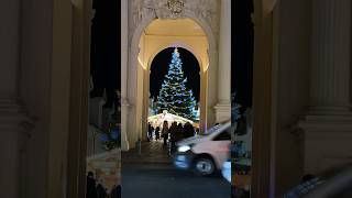 Luisenplatz 🎄Potsdam Christmas market christmas potsdam christmasmarket [upl. by Richmal781]