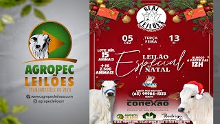 Agropecleiloescom LEILÃO ESPECIAL DE NATAL  REAL LEILÕES  PORTO NACIONAL  TO 05122023 [upl. by Elleon]