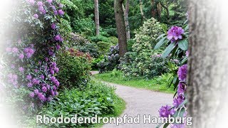 Hamburg Stadtpark Spaziergang auf dem Rhododendronpfad [upl. by Kaya]