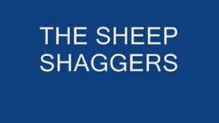 sheep shaggers [upl. by Phebe675]