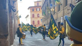 quotGet Ready for Siena Palio 2024 August 16th Spectaclequot [upl. by Aleicarg]